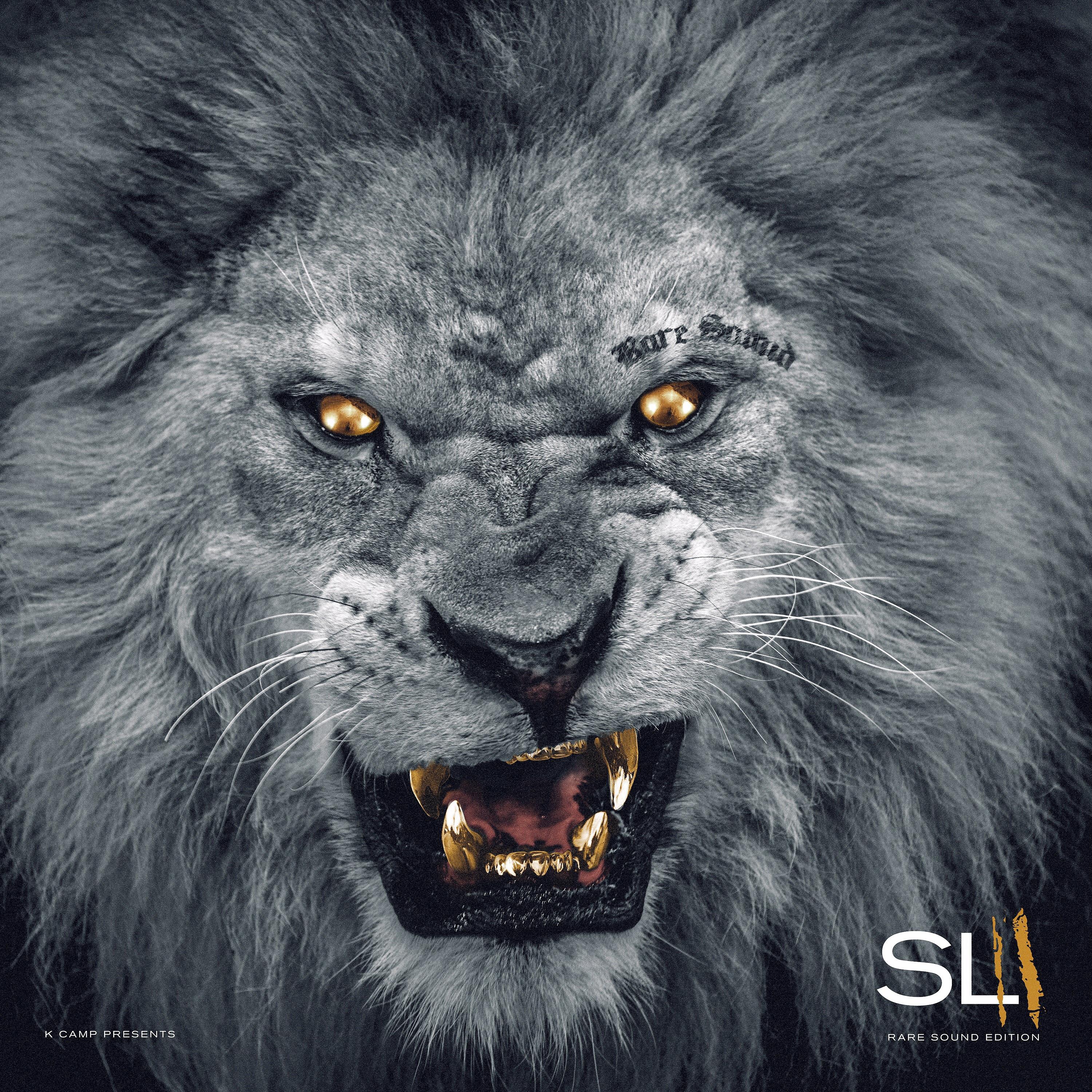 Постер альбома Slum Lords 2