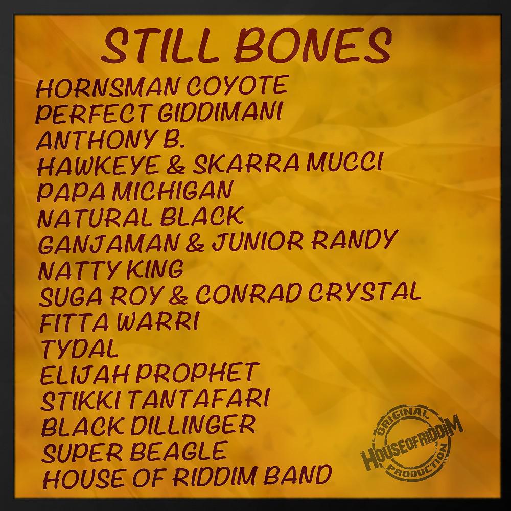 Постер альбома Still Bones Selection
