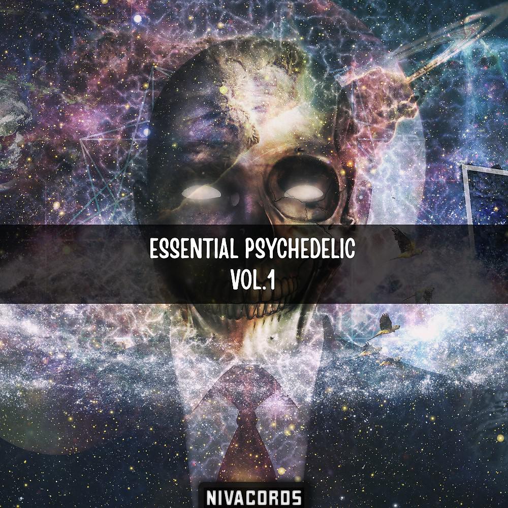 Bionic Delay - Ragnarok (Acid Syndrome Remix)