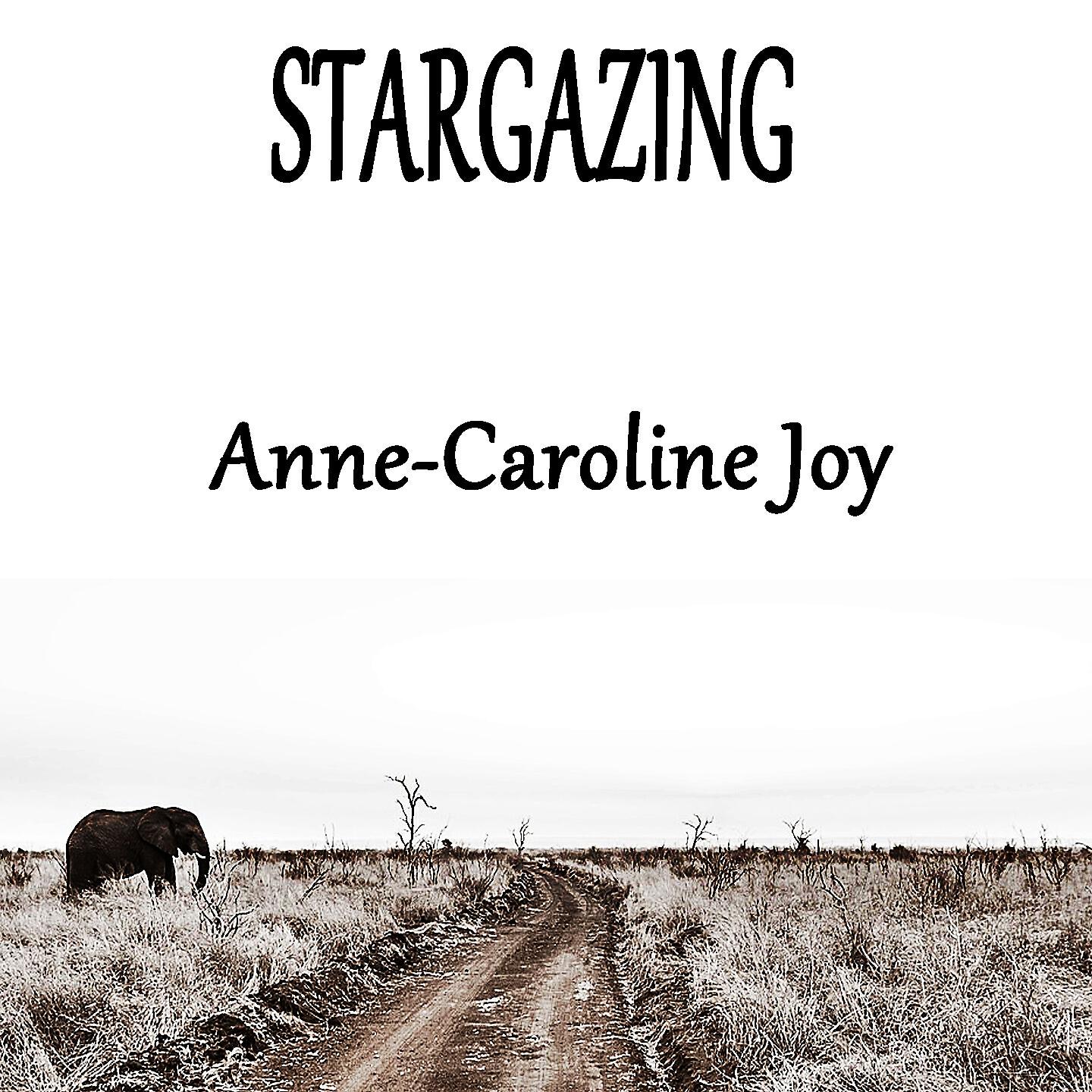 Anne-Caroline Joy - Stargazing (Karaoke Instrumental Kygo ft. Justin Jesso reprise)