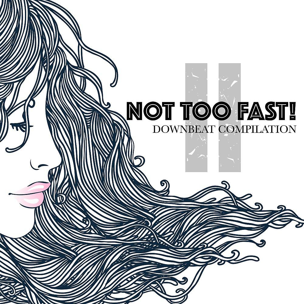 Постер альбома Not Too Fast! 2: Downbeat Compilation