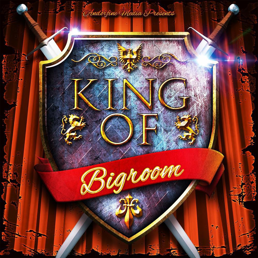 Постер альбома King of Bigroom