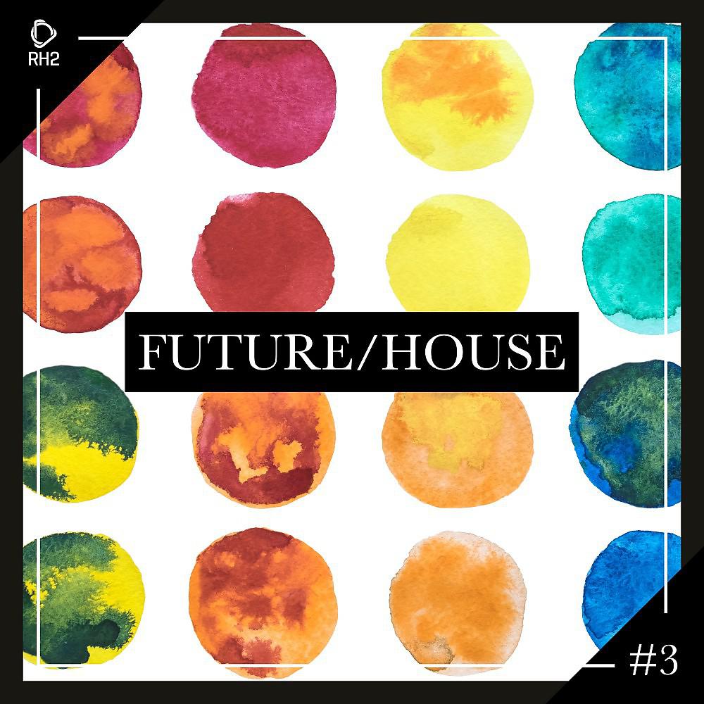 Постер альбома Future/House #3