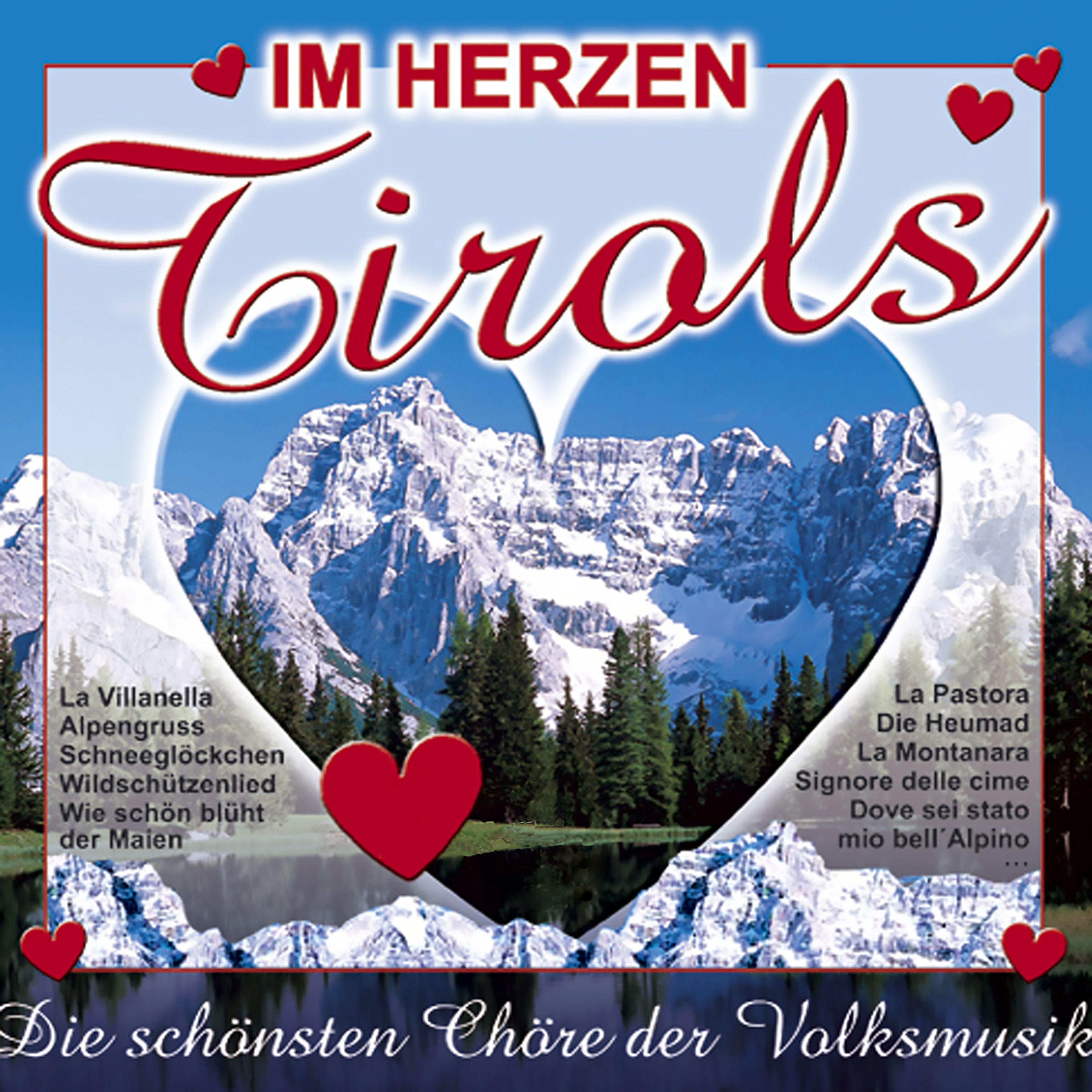 Постер альбома Im Herzen Tirols
