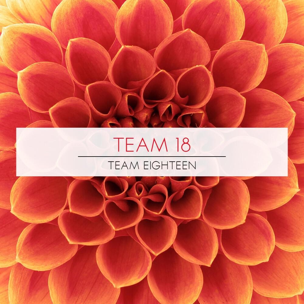 Indra - Speed (Team 18 Remix)
