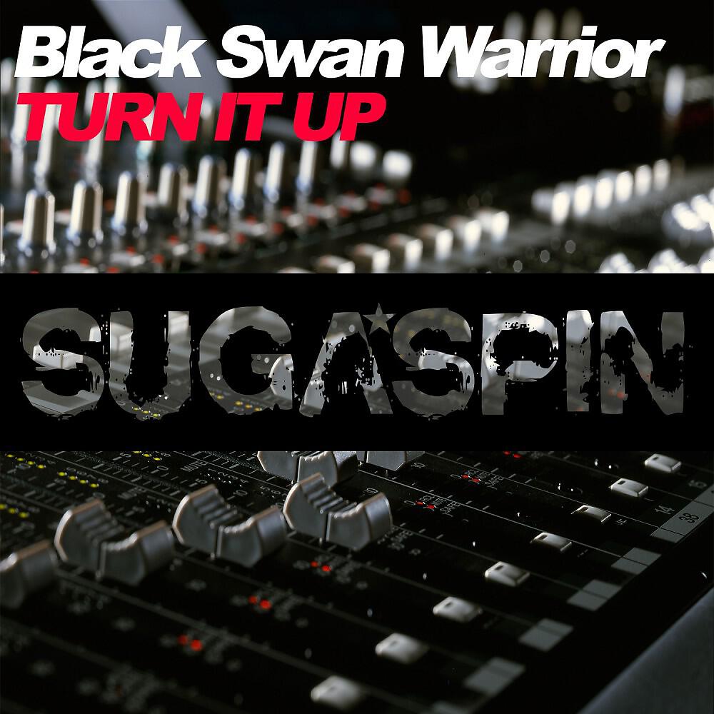 Black Swan Warrior - Turn It Up (Original Mix)