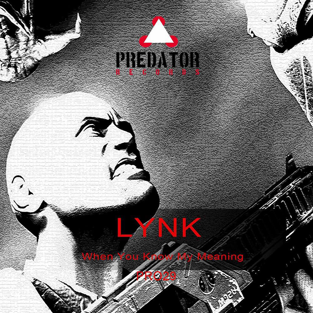 Lynk - The Endless Road