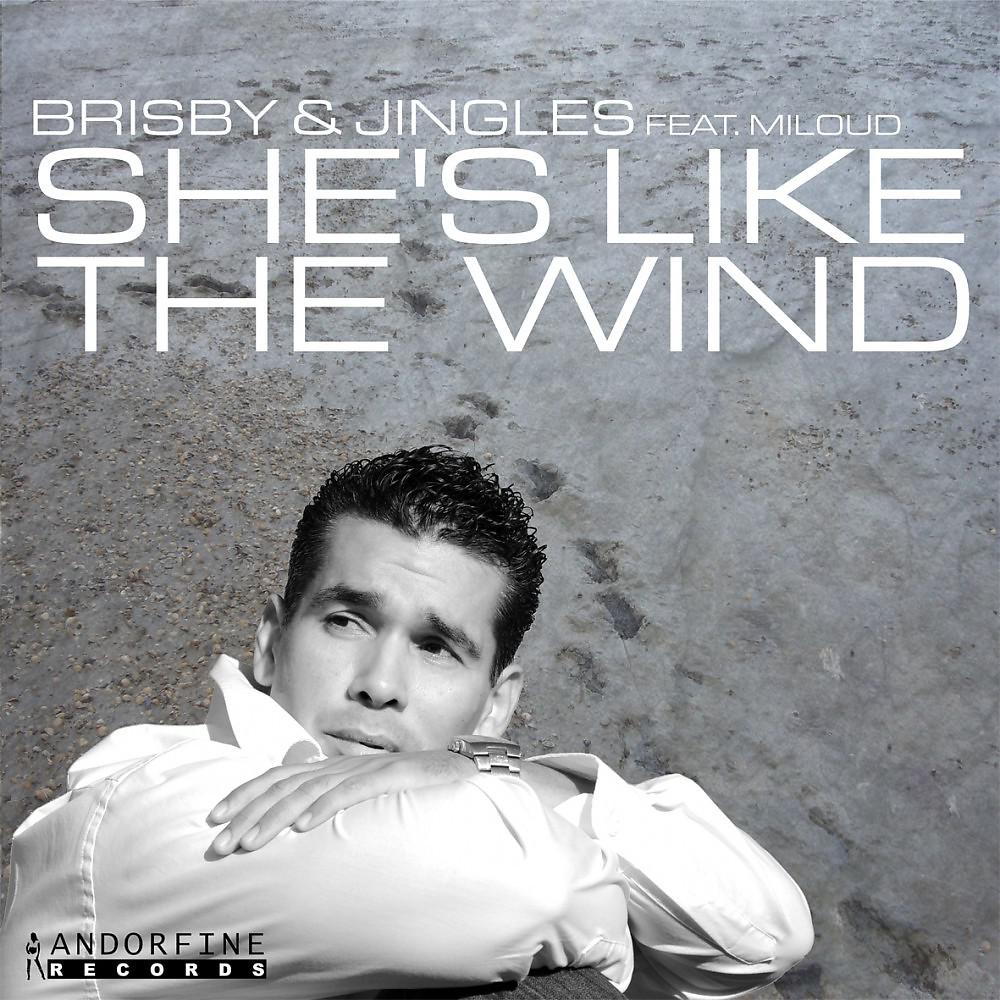 Постер альбома She´s Like The Wind