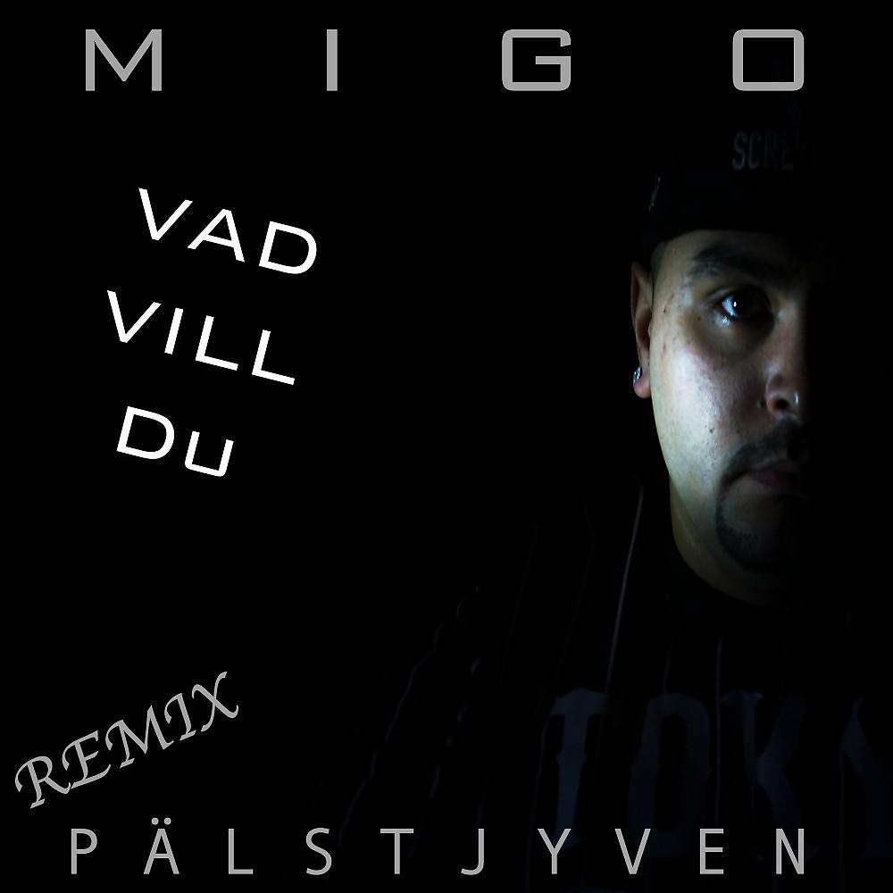 Постер альбома Vad vill du (Pälstjyven Remix)
