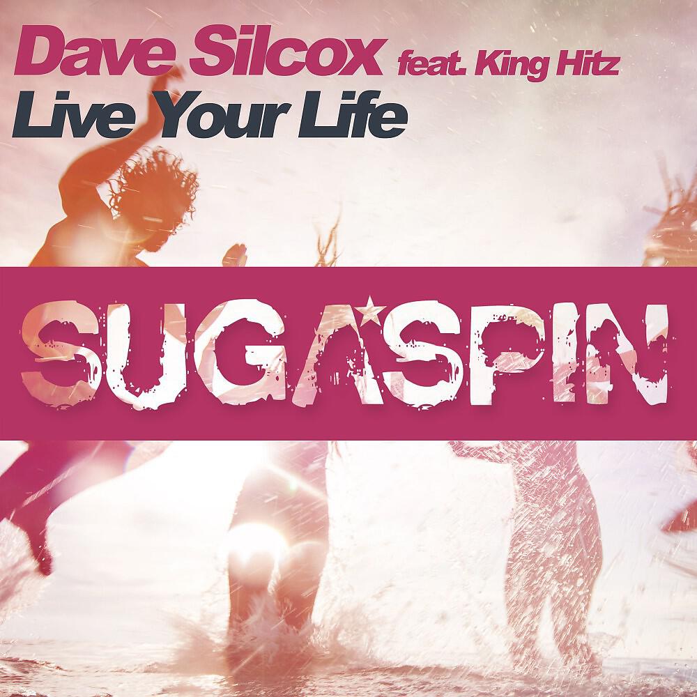 Dave Silcox - Live Your Life (Calvin Logue Remix)