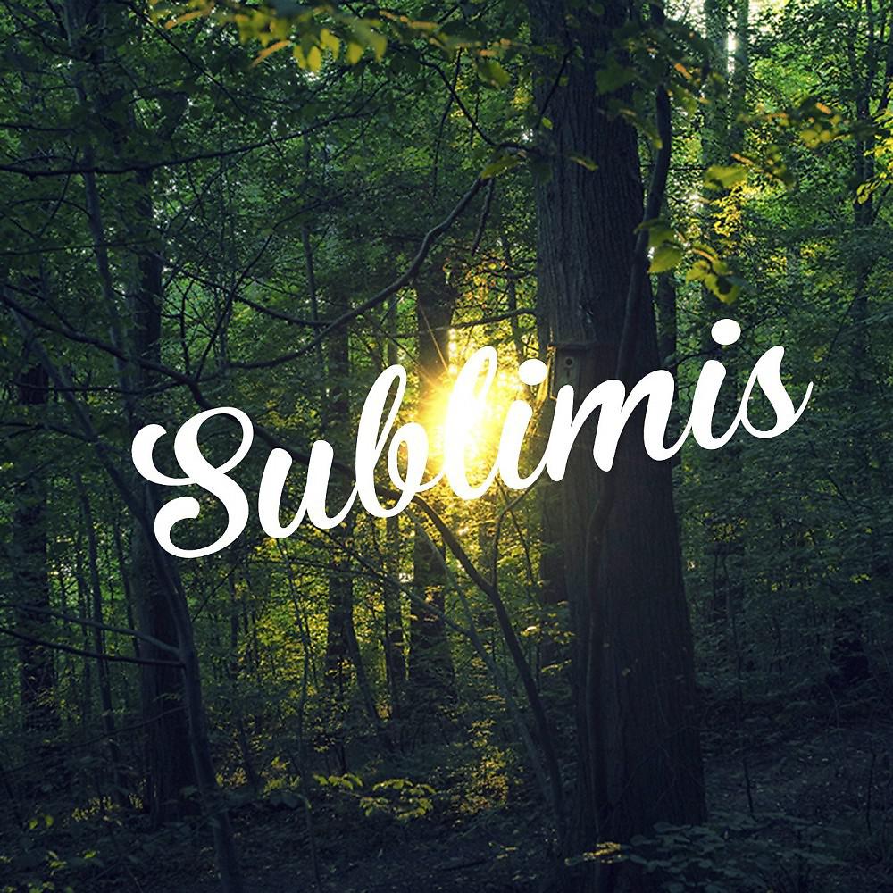 Постер альбома Sublimis