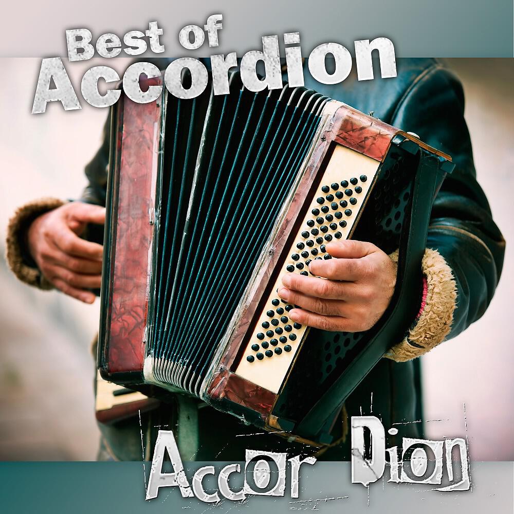 Accor Dion - Latin A Minor