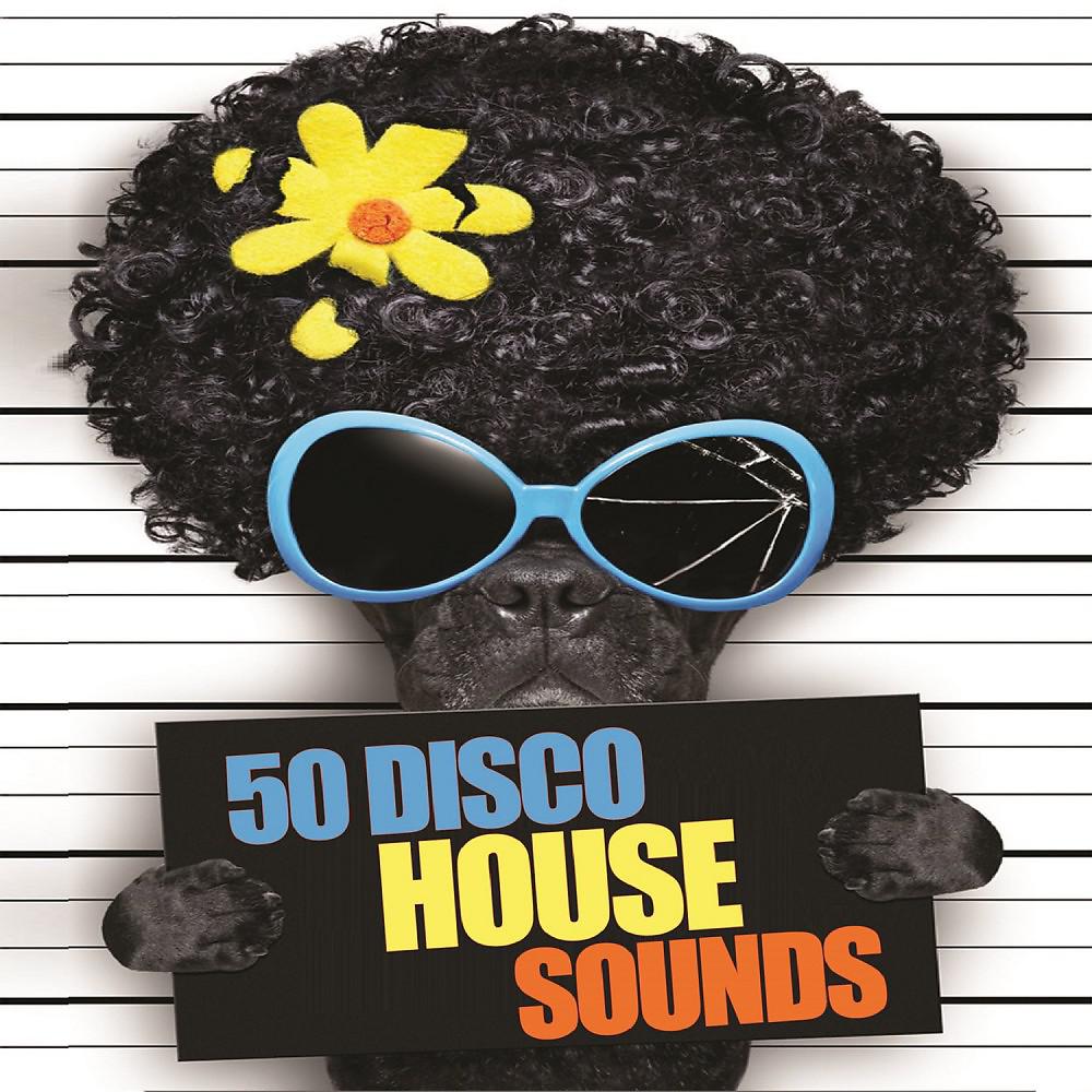 Постер альбома 50 Disco House Sounds