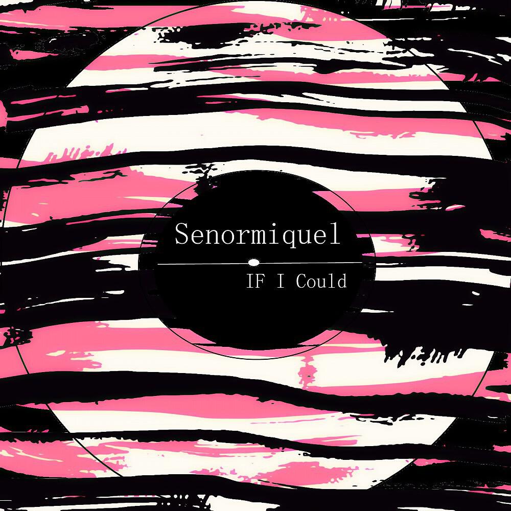 Senormiquel - If I Could (Marco Stenzel Remix)