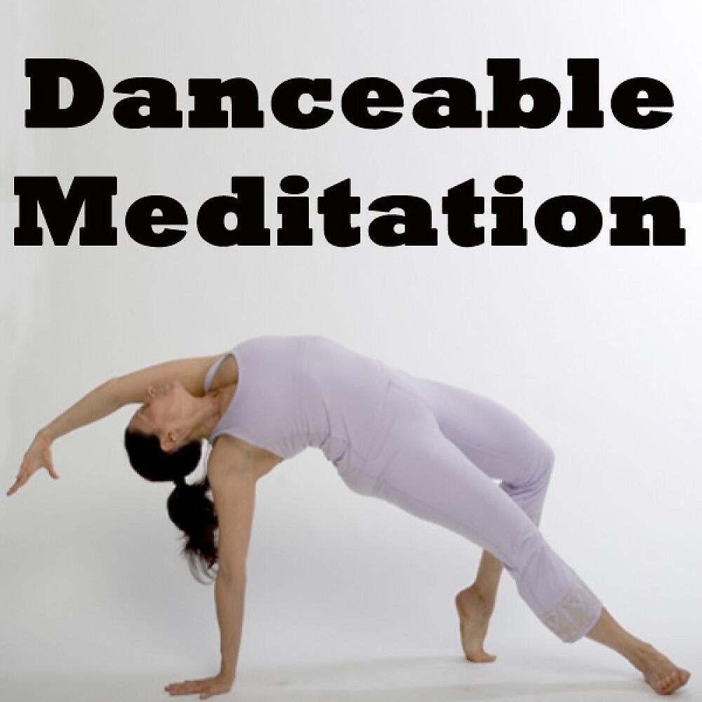 Yoga Tunes - Insight Meditation Consciouness
