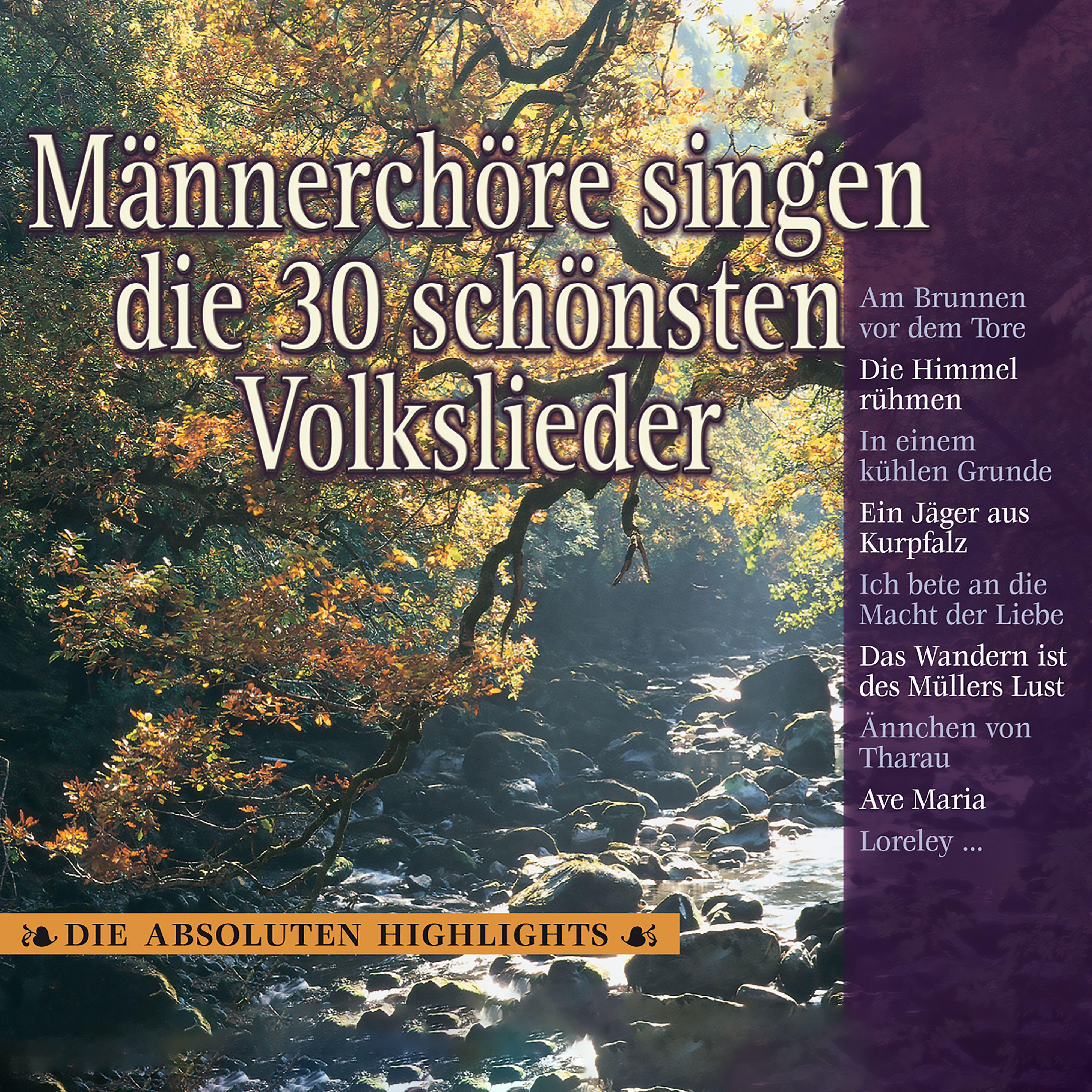 Jörg-Peter Weigle - Ich bete an die Macht der Liebe