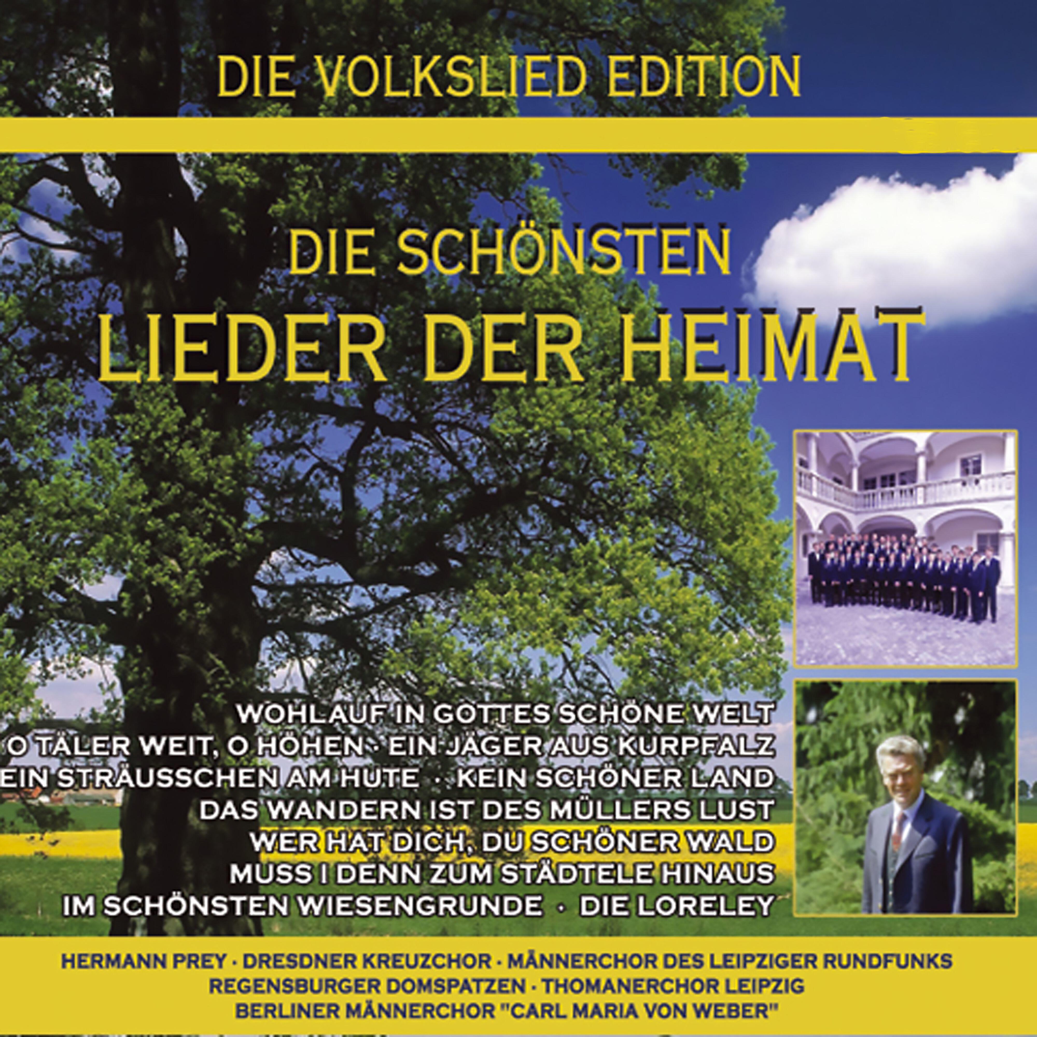Geoffrey Parsons - 49 Deutsche Volkslieder, WoO 33: No. 36. Es wohnet ein Fiedler