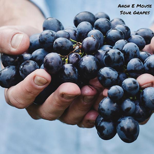 Постер альбома Sour Grapes