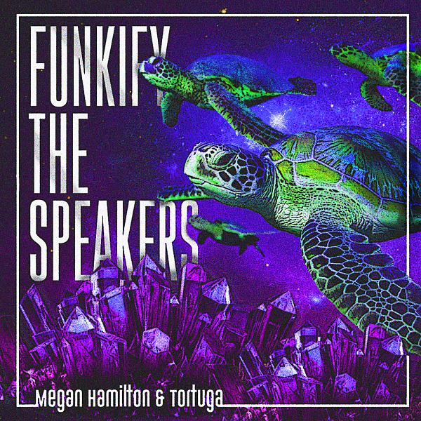 Постер альбома Funkify The Speakers