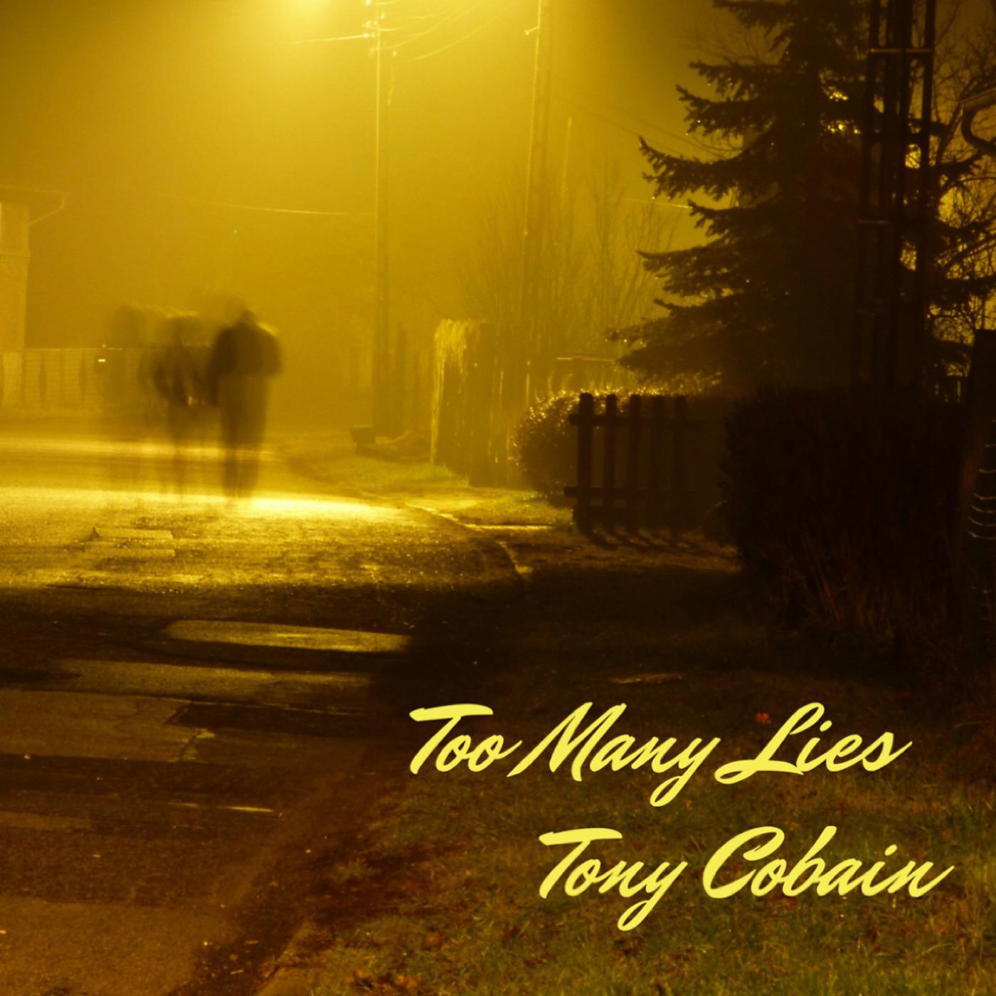 Постер альбома Too Many Lies (feat. Abel Petit)