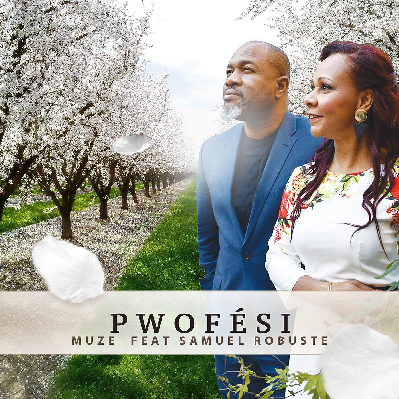 Постер альбома Pwofési (feat. Samuel ROBUSTE)