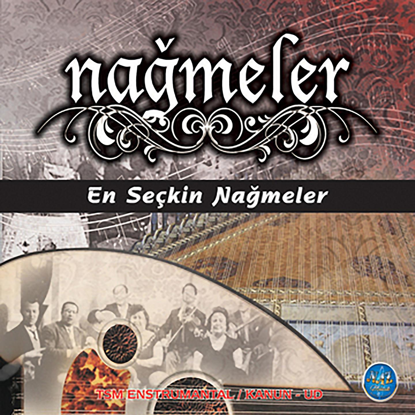 Постер альбома Nağmeler