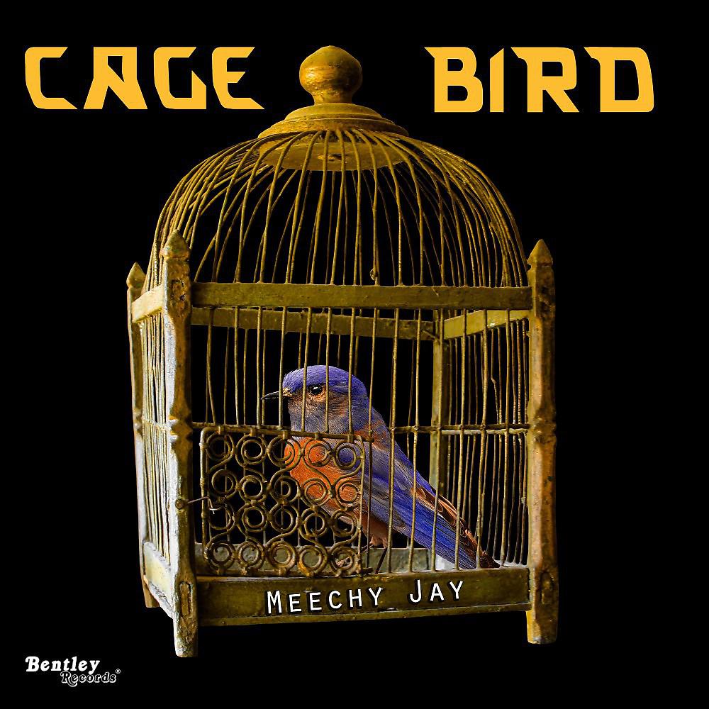 Постер альбома Caged Bird