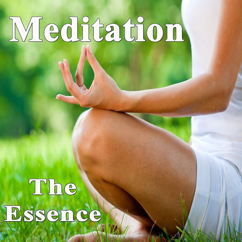 Osho Zen Tarot - Love & Light