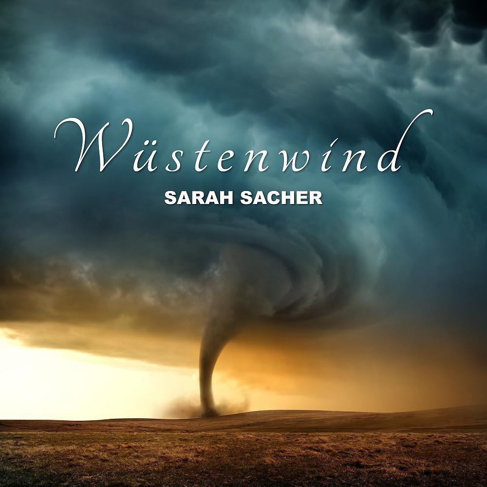 Постер альбома Wüstenwind