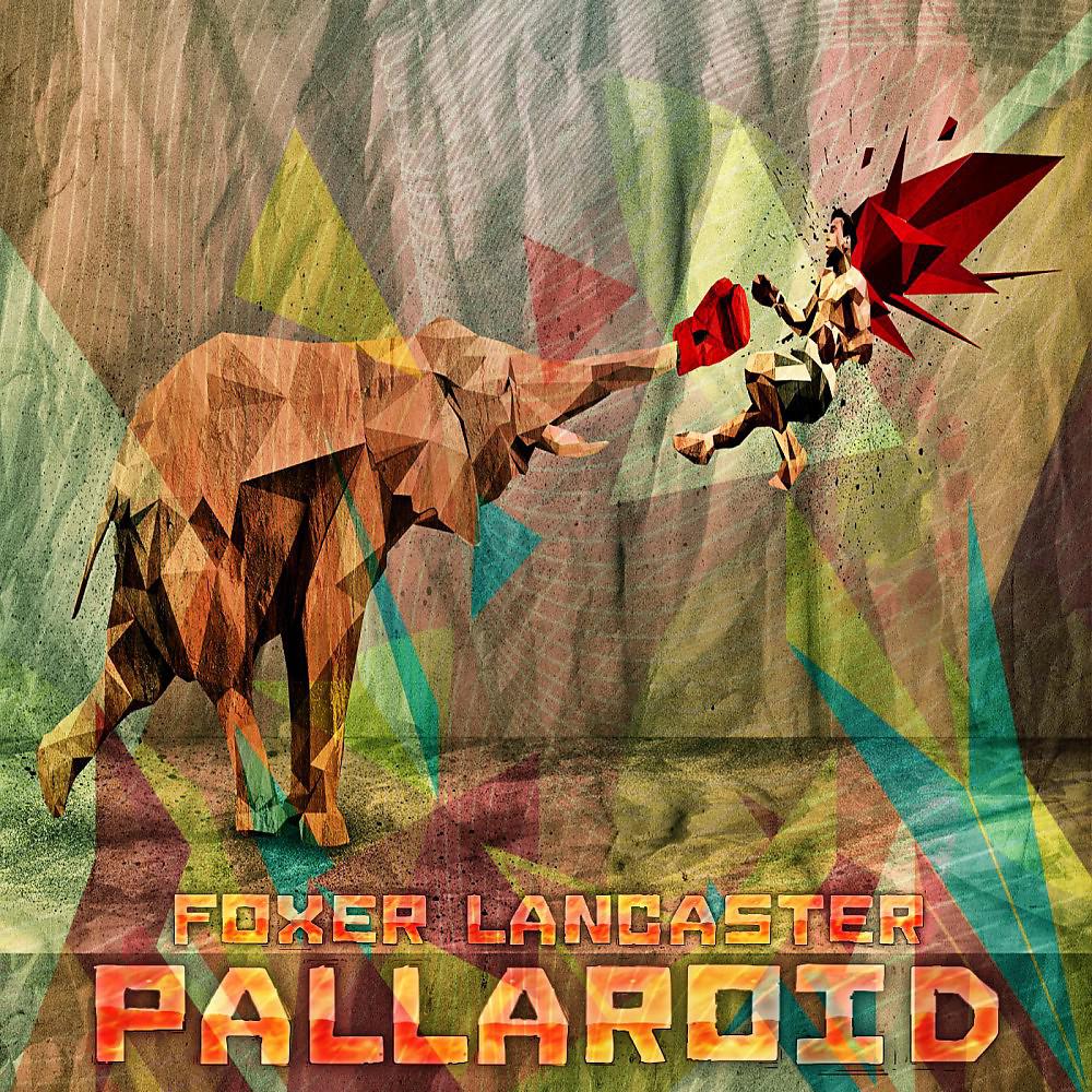 Постер альбома Pallaroid