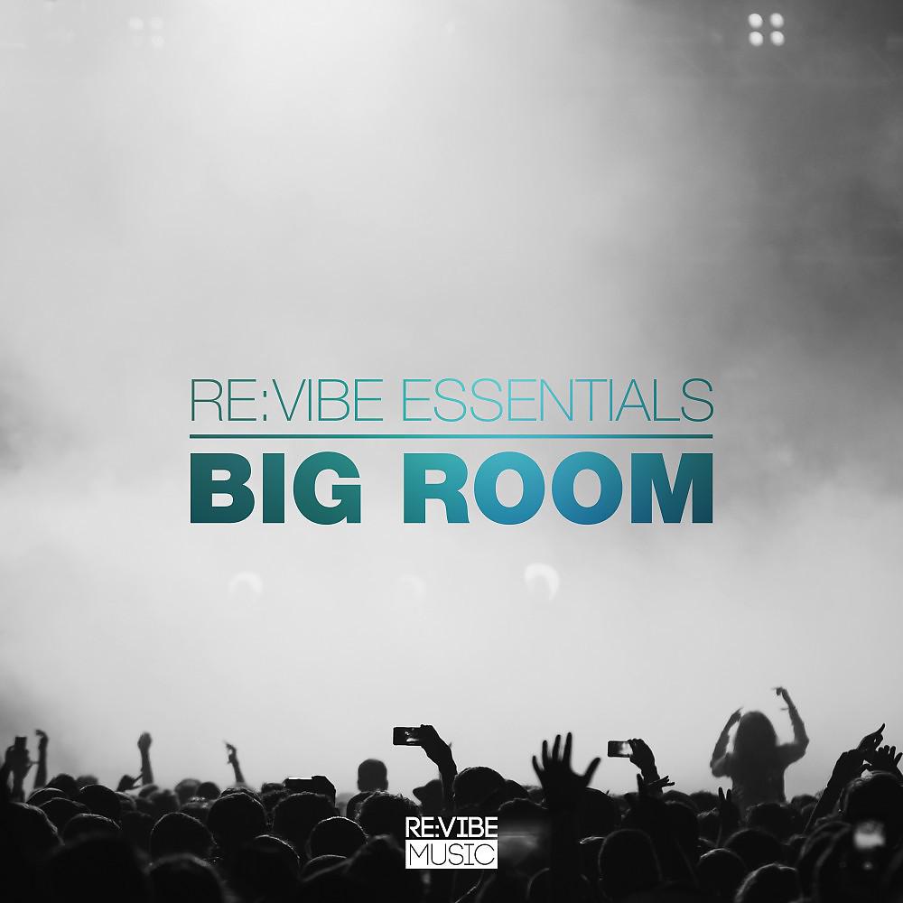Постер альбома Re:Vibe Essentials - Big Room, Vol. 1