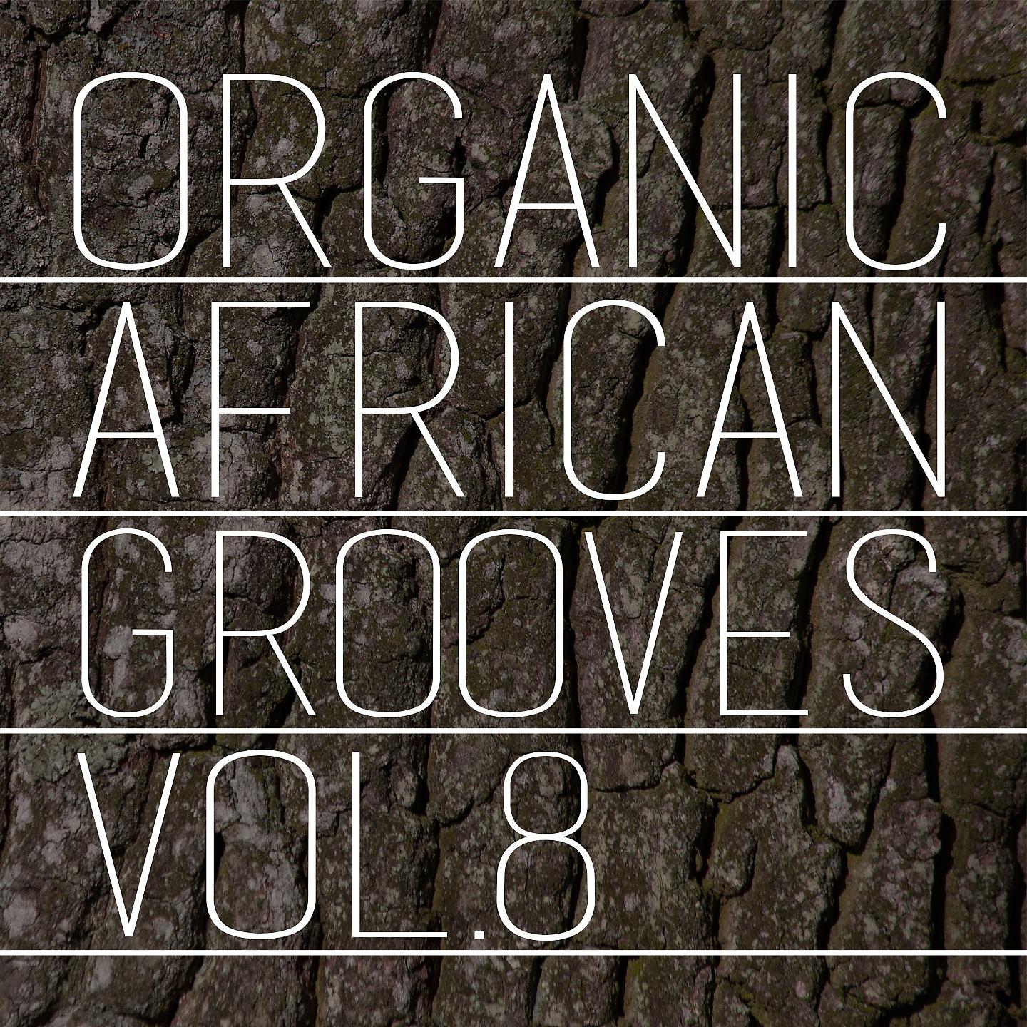 Постер альбома Organic African Grooves, Vol.8