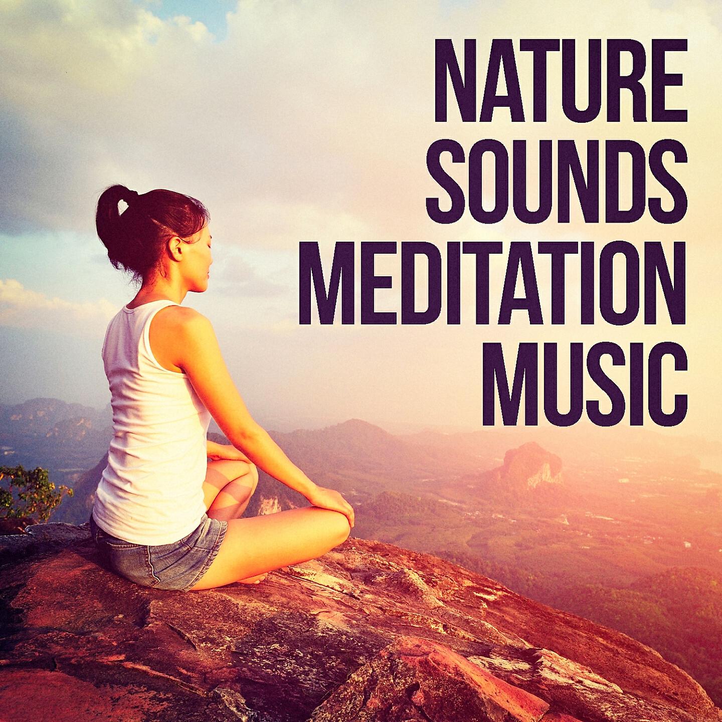 Sounds Of Nature - Canopy Sounds: Birds