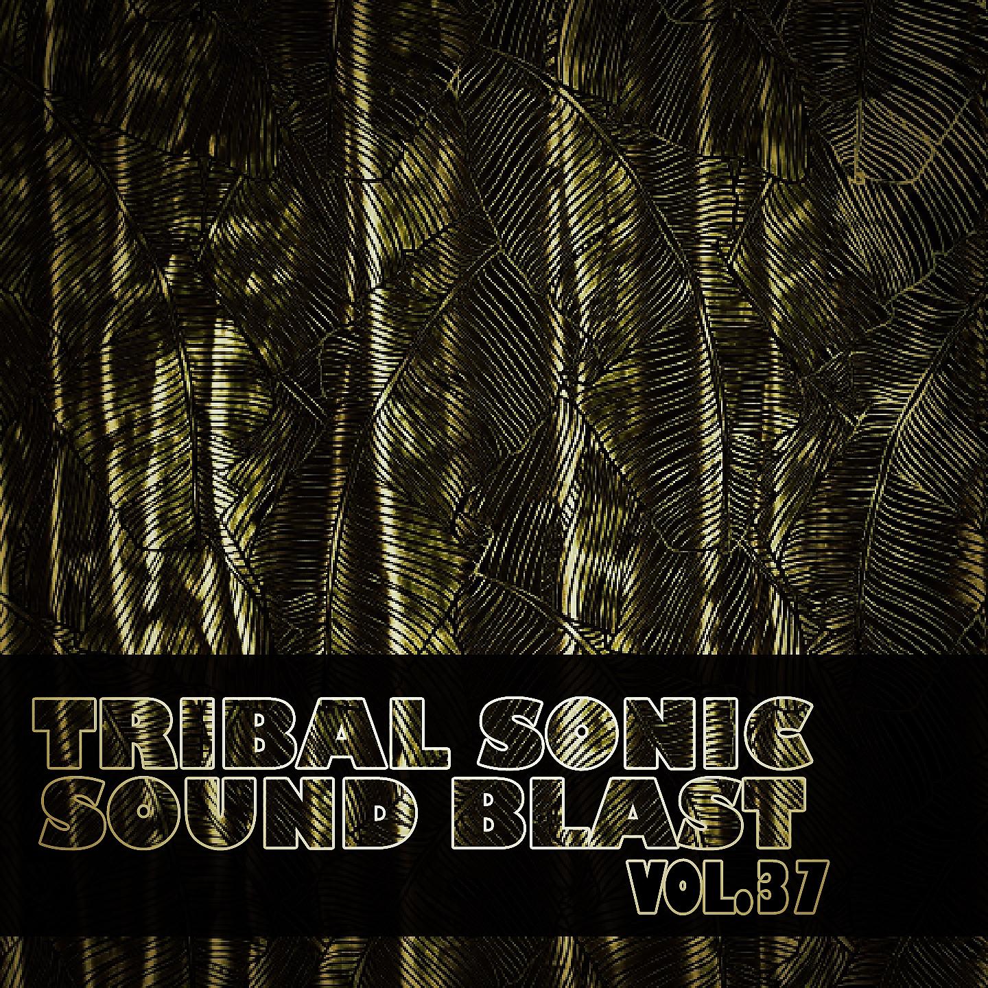 Постер альбома Tribal Sonic Soundblast,Vol.37