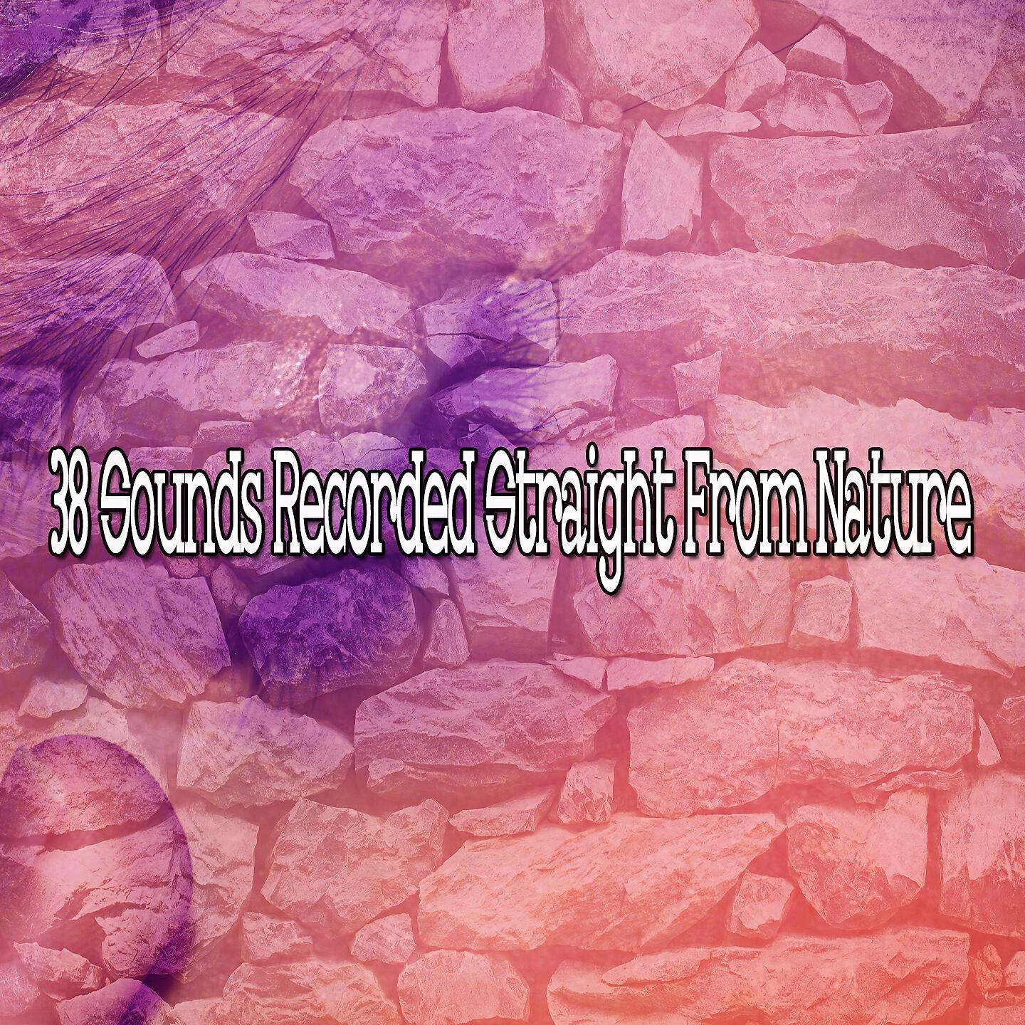 Nature Recordings - Streaming Gust