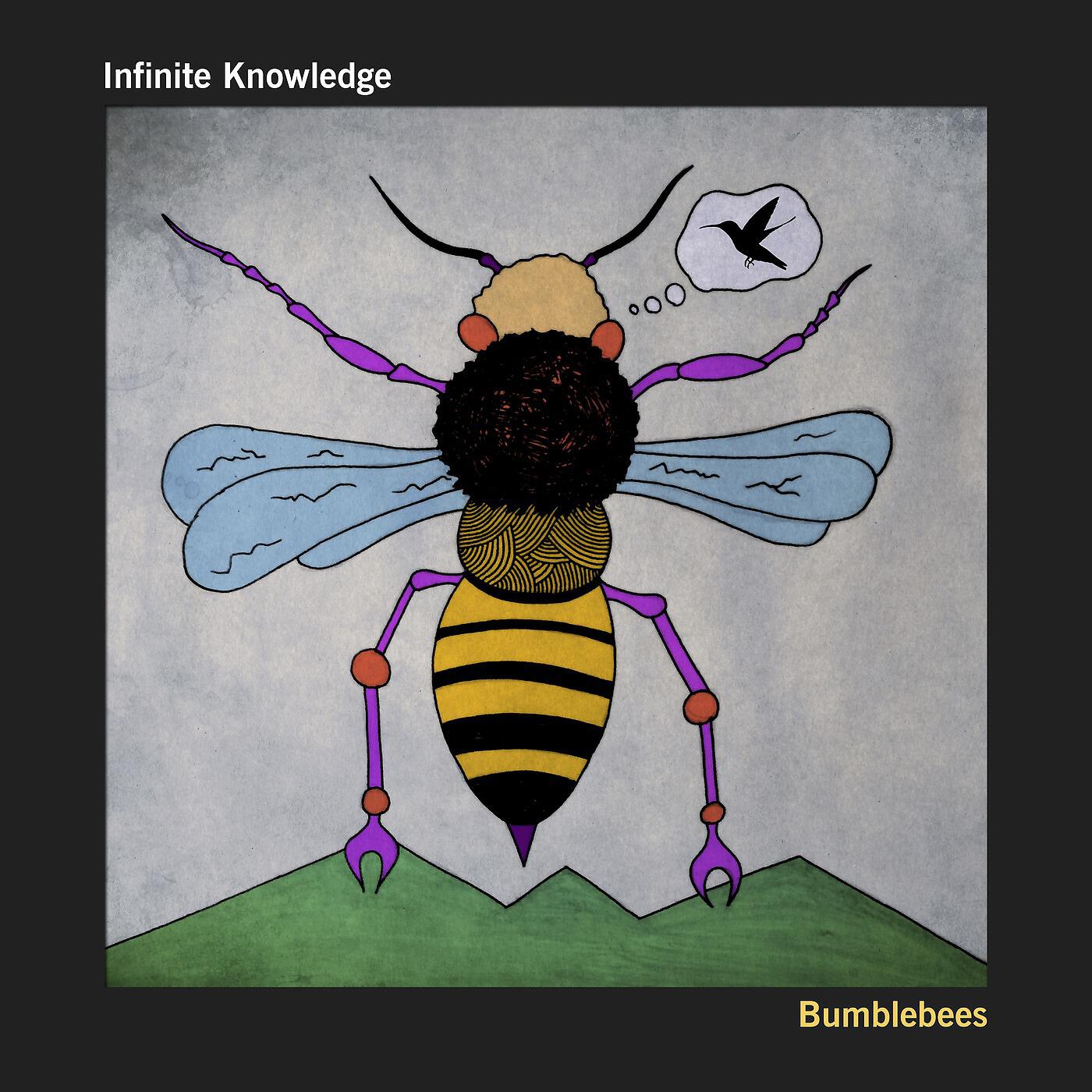 Infinite Knowledge - Bumblebees