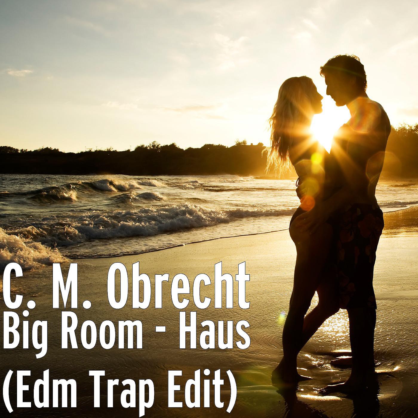 Постер альбома Big Room - Haus (Edm Trap Edit)