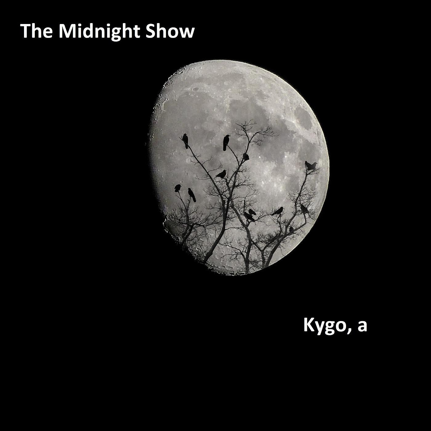 Постер альбома The Midnight Show