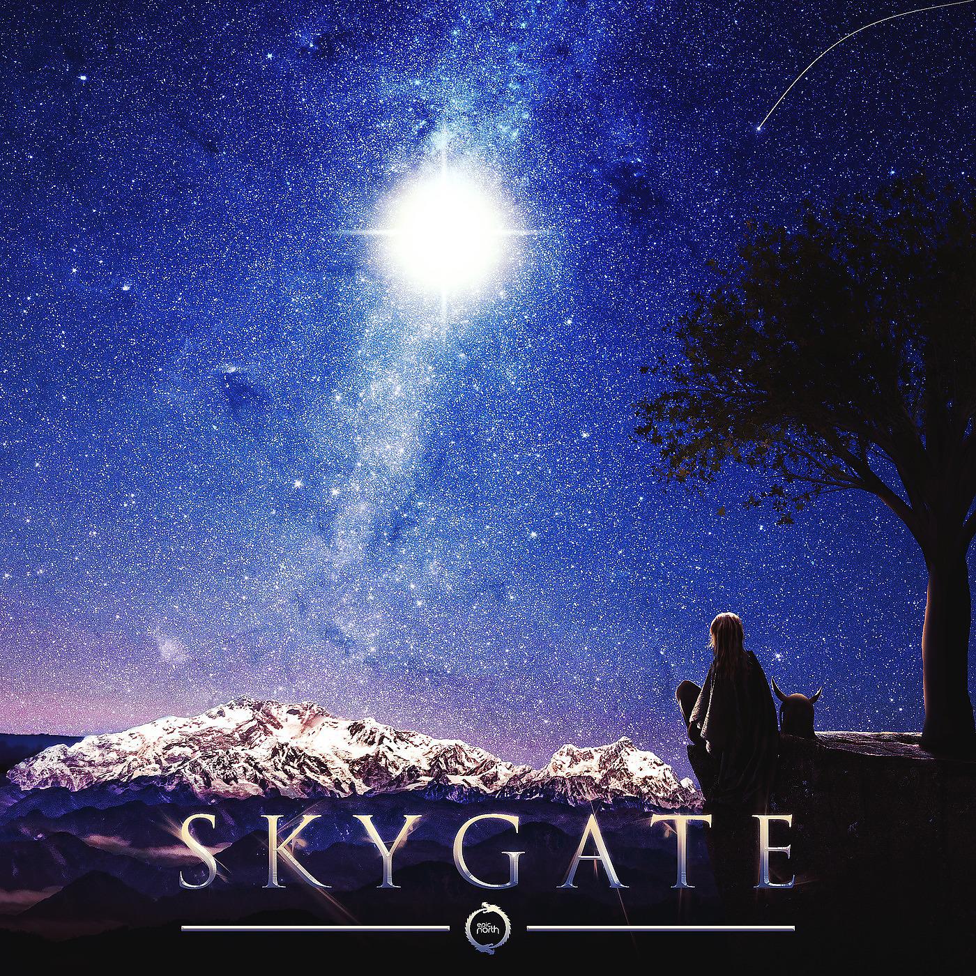 Постер альбома Skygate