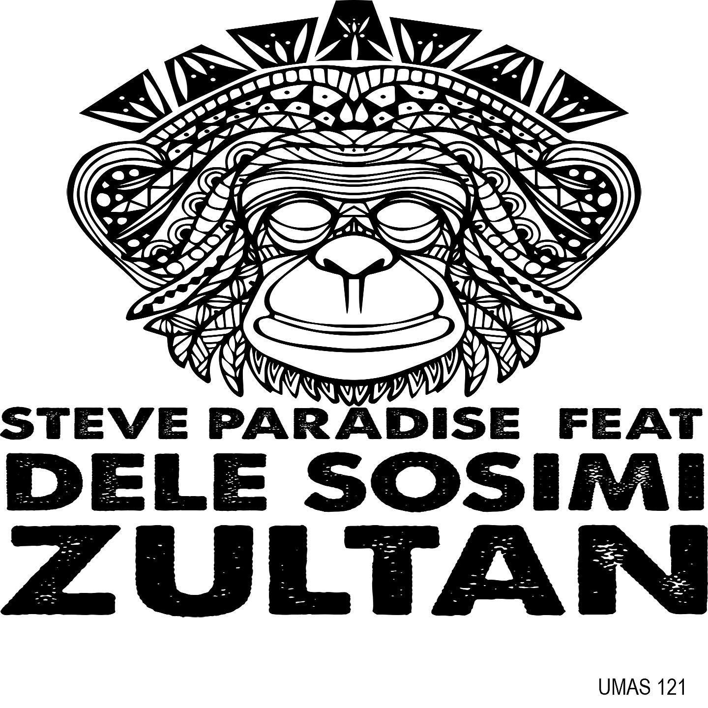 Постер альбома Zultan