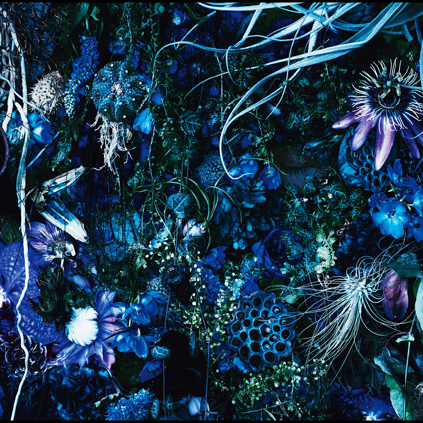 Sugizo - Kanjou Hyouryu