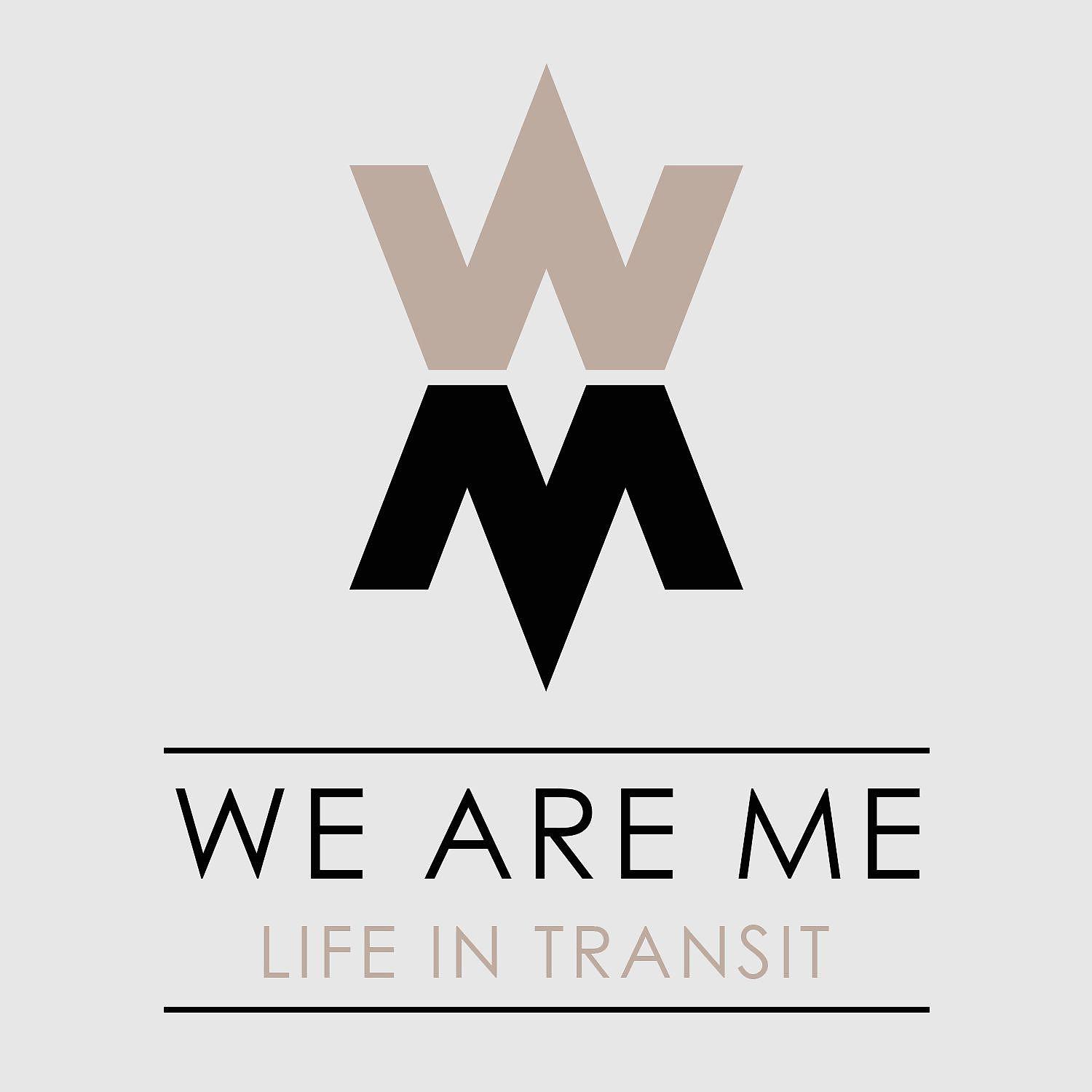 Постер альбома Life in Transit