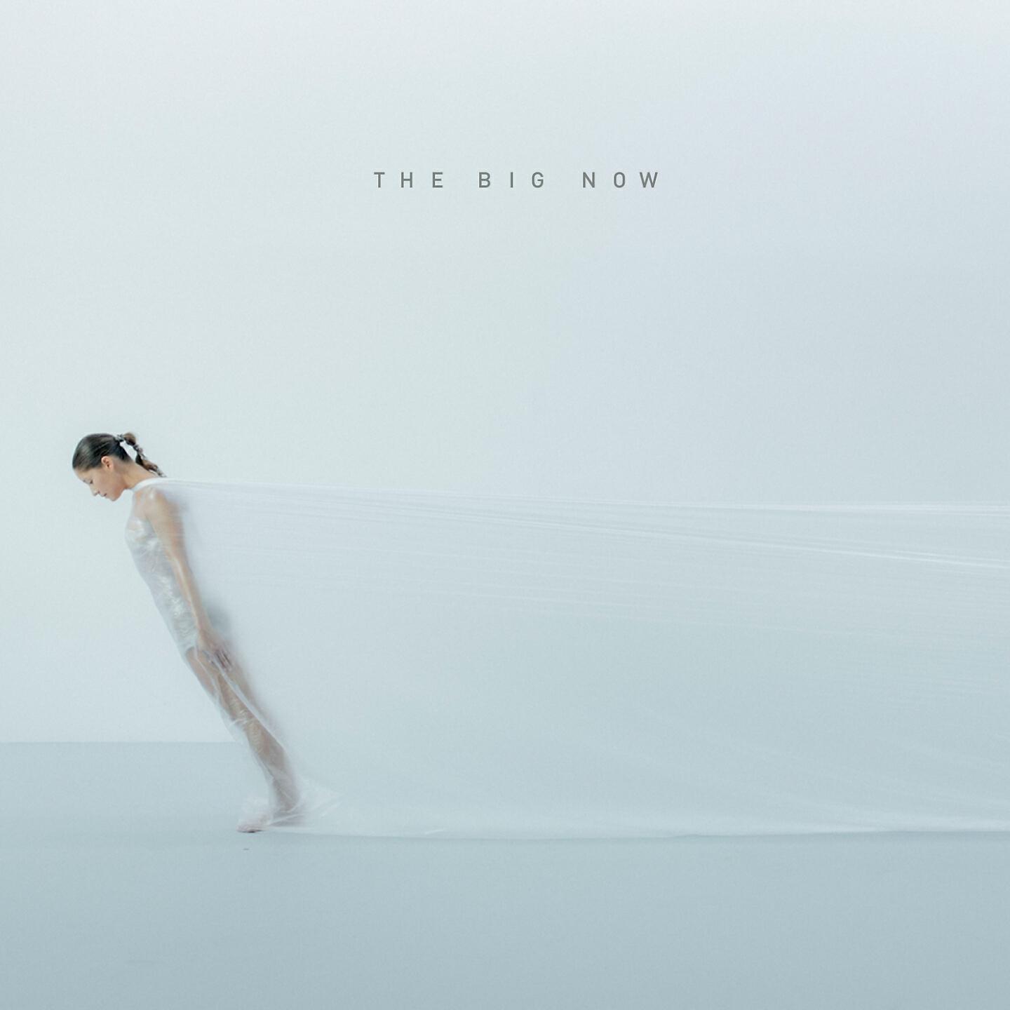 Little Ashes - The Big Now (Ryan Davis and Robot Koch Remix)