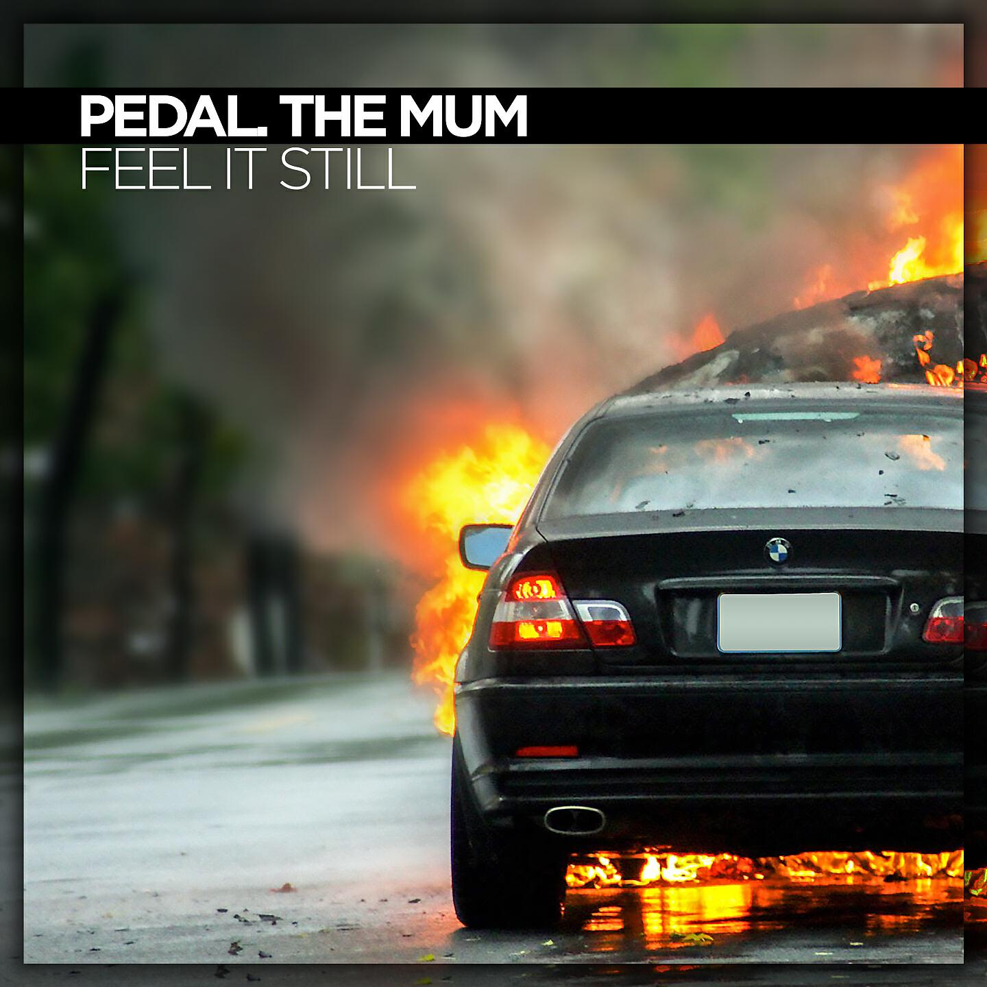 Pedal. The Mum - Feel It Still