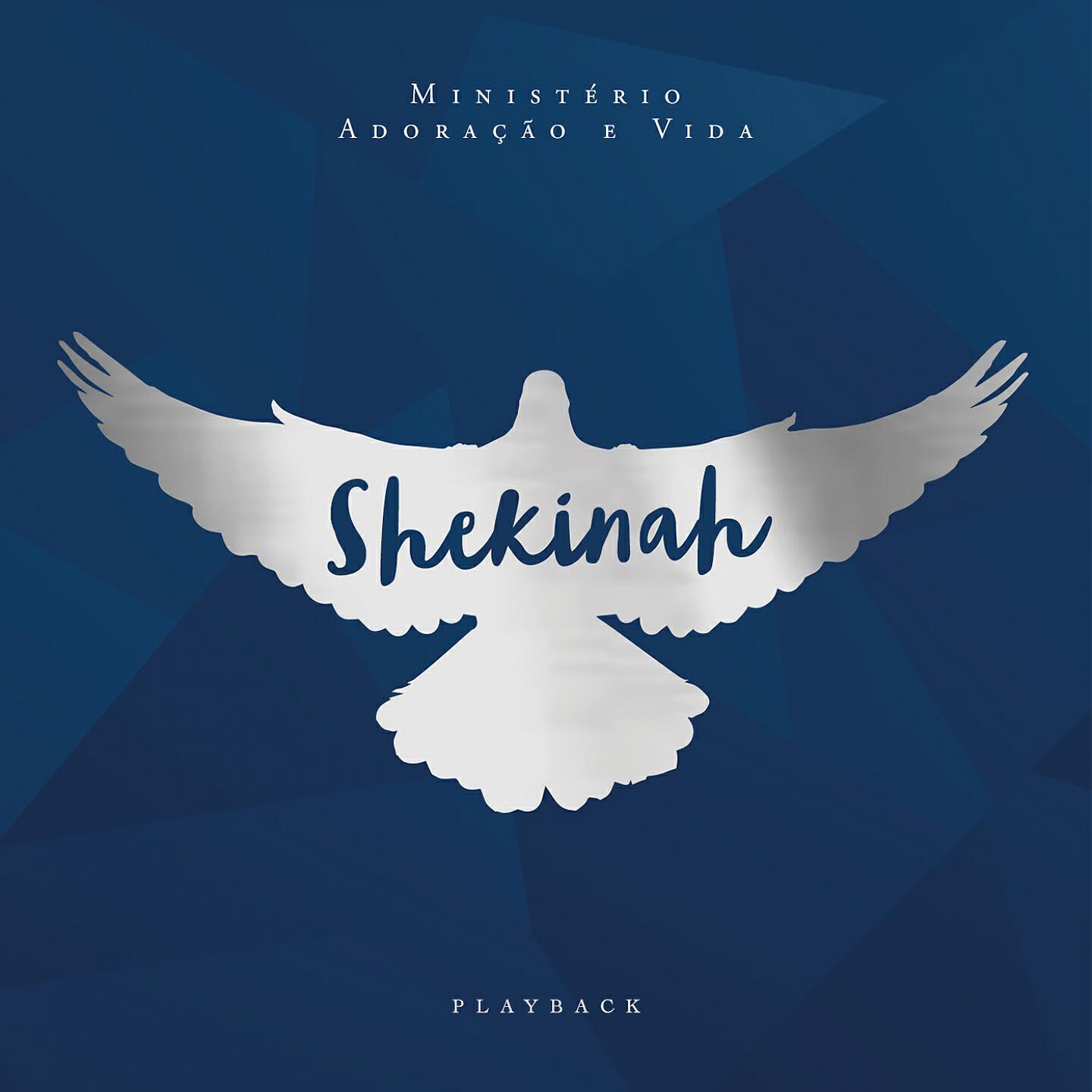 Ministério Adoração e Vida - Shekinah (Playback Com Coro)