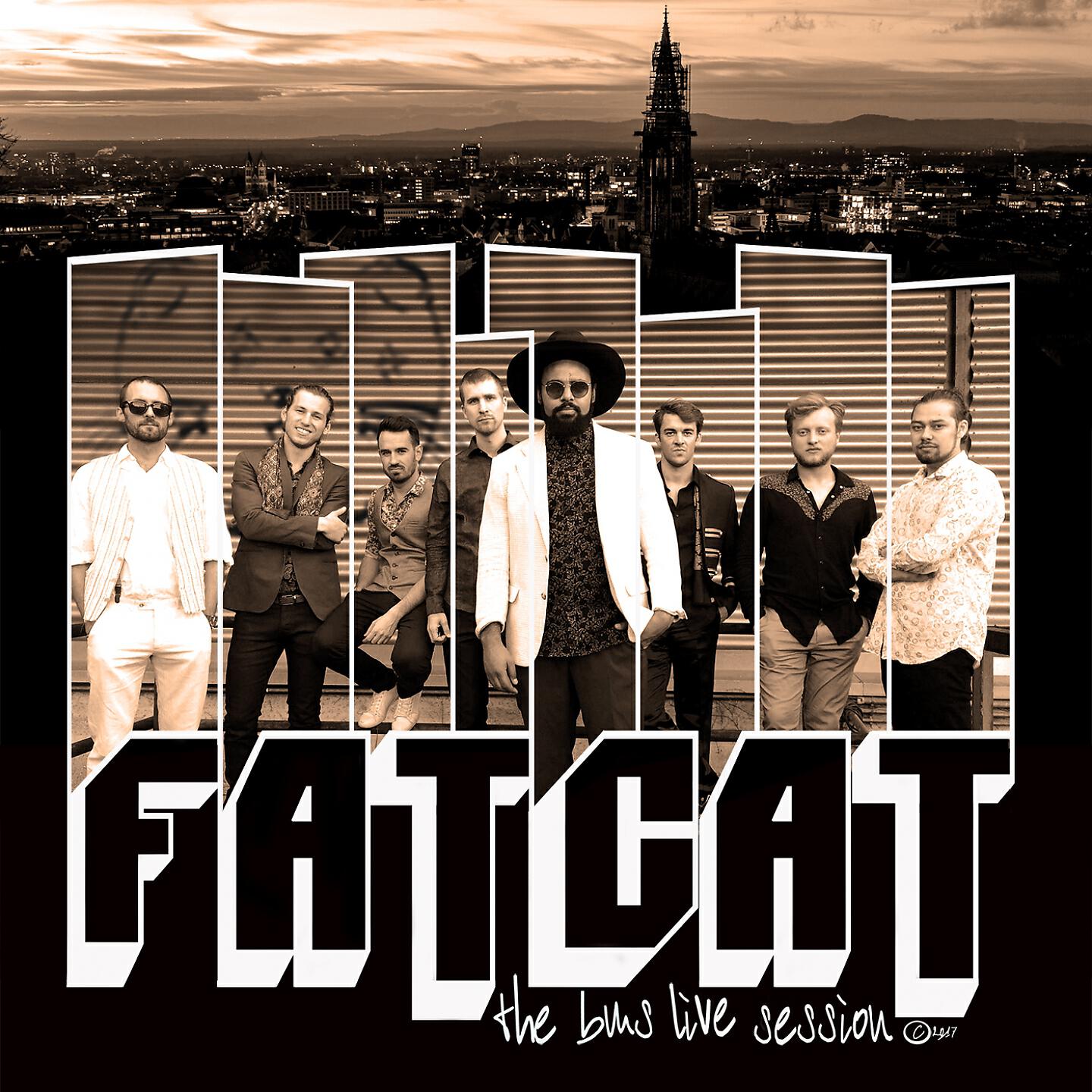 FATCAT - Daydreamer (Live)