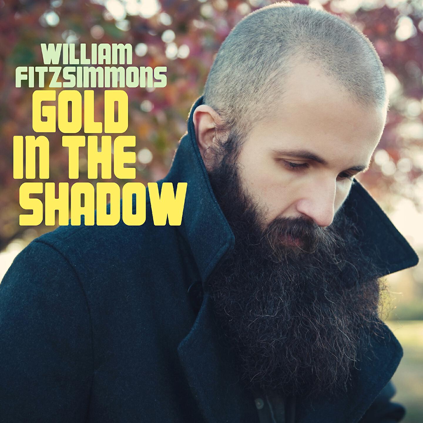 William Fitzsimmons - Let You Break