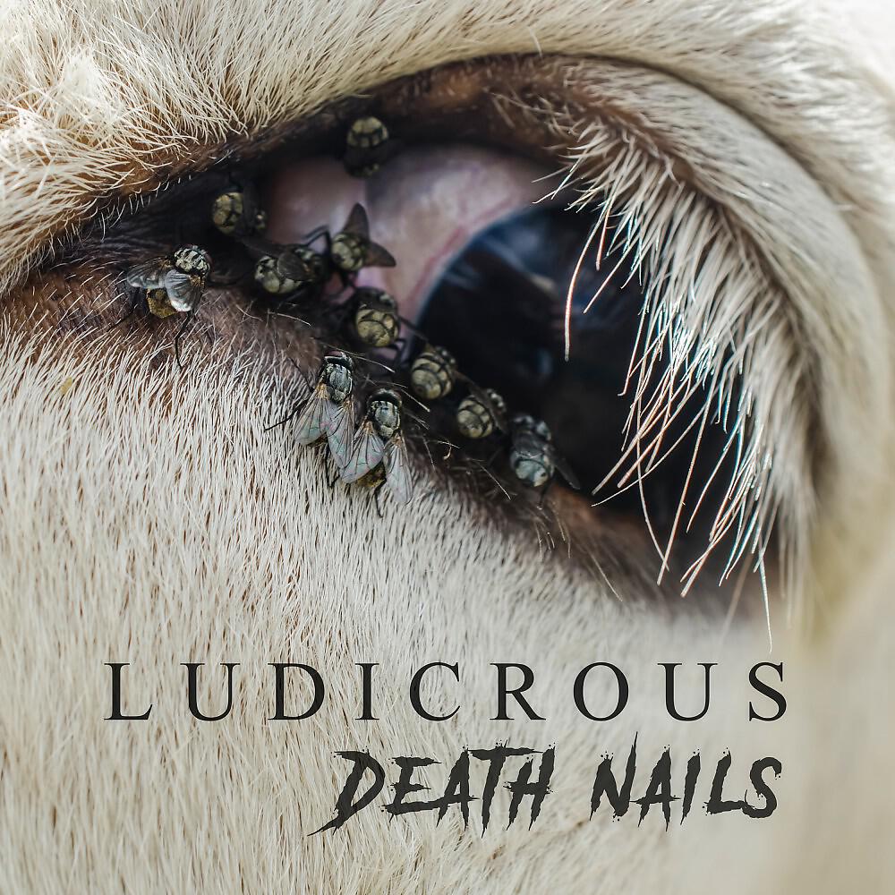Ludicrous - Stabber's Delight