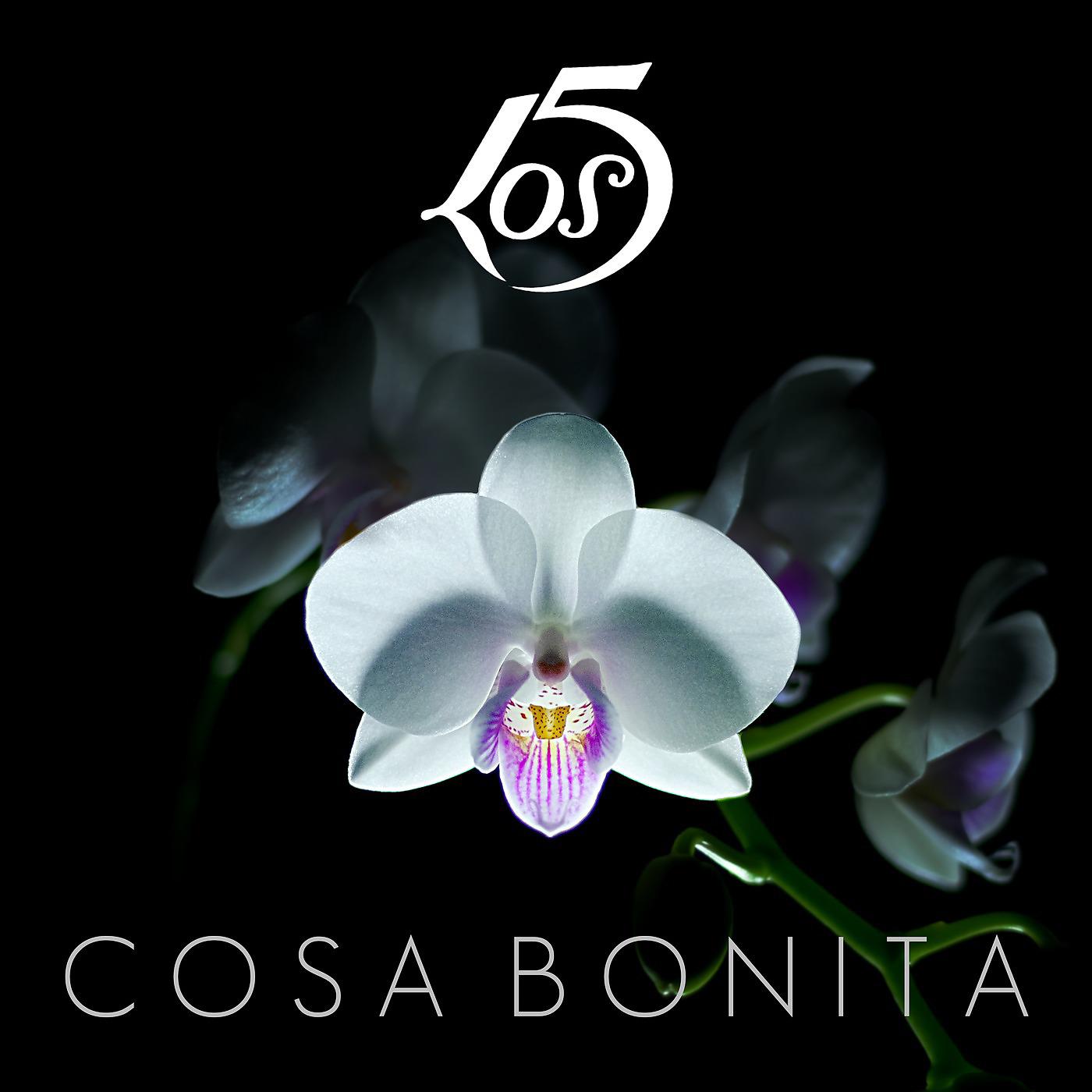Постер альбома Cosa Bonita