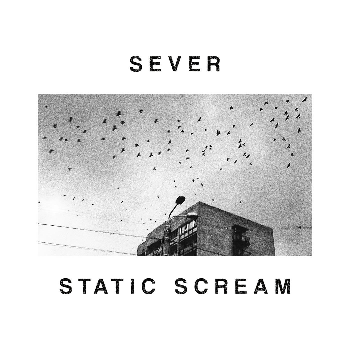 Постер альбома Static Scream